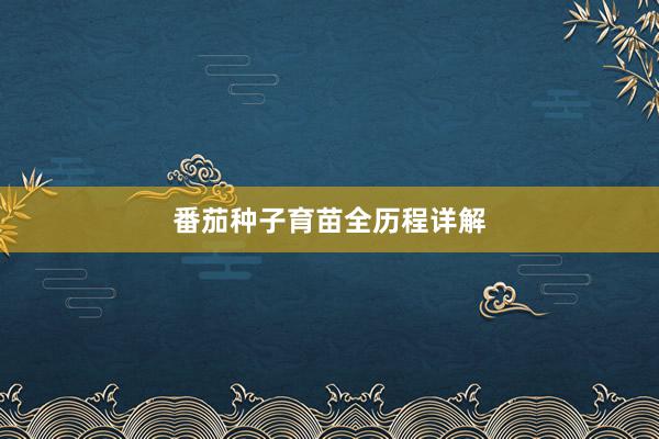 番茄种子育苗全历程详解