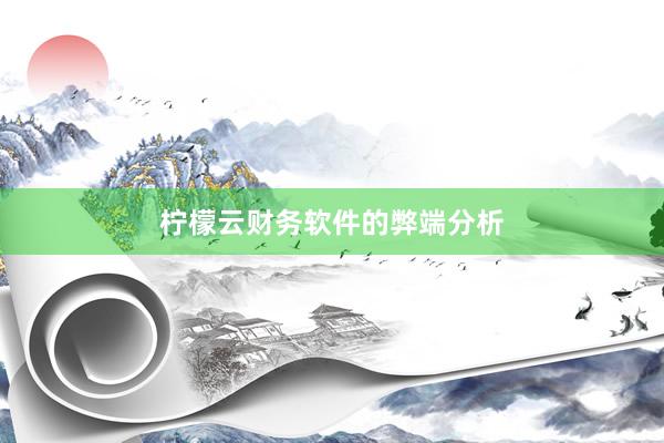 柠檬云财务软件的弊端分析