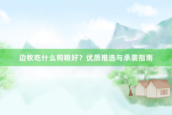 边牧吃什么狗粮好?优质推选与承袭指南
